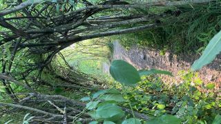IMG_9859.jpeg