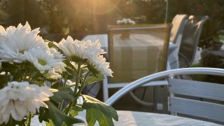IMG_1149.jpeg