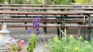 IMG_8468.jpeg